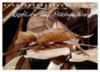 Reptilien auf Madagaskar (Tischkalender 2026 DIN A5 quer), CALVENDO Monatskalender