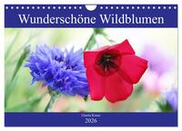 Wunderschöne Wildblumen (Wandkalender 2026 DIN A4 quer), CALVENDO Monatskalender