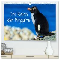 Im Reich der Pinguine (hochwertiger Premium Wandkalender 2026 DIN A2 quer), Kunstdruck in Hochglanz