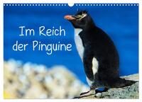 Im Reich der Pinguine (Wandkalender 2026 DIN A3 quer), CALVENDO Monatskalender