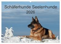 Schäferhunde Seelenhunde (Wandkalender 2026 DIN A2 quer), CALVENDO Monatskalender
