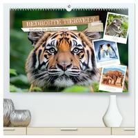 Bedrohte Tierwelt SCHATTEN DES VERSCHWINDENS (hochwertiger Premium Wandkalender 2026 DIN A2 quer), Kunstdruck in Hochglanz