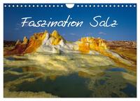 Faszination Salz (Wandkalender 2026 DIN A4 quer), CALVENDO Monatskalender