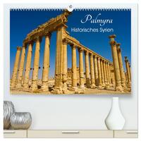 Palmyra - Historisches Syrien (hochwertiger Premium Wandkalender 2026 DIN A2 quer), Kunstdruck in Hochglanz