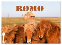 Rømø (Wandkalender 2026 DIN A2 quer), CALVENDO Monatskalender