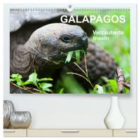 Galapagos. Verzauberte Inseln (hochwertiger Premium Wandkalender 2026 DIN A2 quer), Kunstdruck in Hochglanz