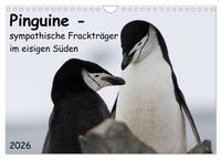 Pinguine - sympathische Frackträger im eisigen Süden (Wandkalender 2026 DIN A4 quer), CALVENDO Monatskalender