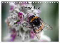 Hummelflug (Wandkalender 2026 DIN A4 quer), CALVENDO Monatskalender