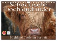 Schottische Hochlandrinder - Highland Cattle im Portrait (Wandkalender 2026 DIN A4 quer), CALVENDO Monatskalender
