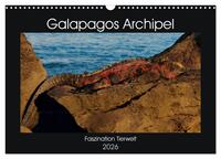 Galapagos Archipel- Faszination Tierwelt (Wandkalender 2026 DIN A3 quer), CALVENDO Monatskalender