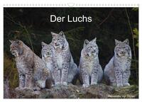 Der Luchs (Wandkalender 2026 DIN A3 quer), CALVENDO Monatskalender