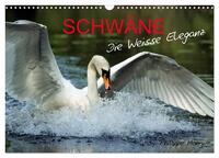 SCHWÄNE. (Wandkalender 2026 DIN A3 quer), CALVENDO Monatskalender