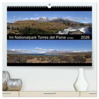 Im Nationalpark Torres del Paine (Chile) (hochwertiger Premium Wandkalender 2026 DIN A2 quer), Kunstdruck in Hochglanz