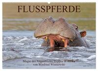 Flusspferde Magie des Augenblicks - Hippos in Afrika (Wandkalender 2026 DIN A2 quer), CALVENDO Monatskalender