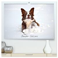Border Collies (hochwertiger Premium Wandkalender 2026 DIN A2 quer), Kunstdruck in Hochglanz