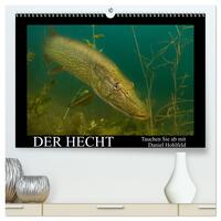 Der Hecht - Tauchen Sie ab mit Daniel Hohlfeld (hochwertiger Premium Wandkalender 2026 DIN A2 quer), Kunstdruck in Hochglanz