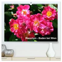 Baden bei Wien - Rosarium (hochwertiger Premium Wandkalender 2026 DIN A2 quer), Kunstdruck in Hochglanz