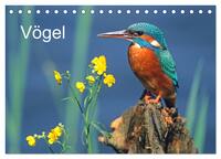 Vögel (Tischkalender 2026 DIN A5 quer), CALVENDO Monatskalender