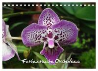 Farbenreiche Orchideen (Tischkalender 2026 DIN A5 quer), CALVENDO Monatskalender