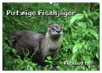 Putzige Fischjäger (Wandkalender 2026 DIN A2 quer), CALVENDO Monatskalender