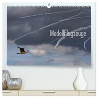 Modellflugzeuge Nr. 1 / 2026 (hochwertiger Premium Wandkalender 2026 DIN A2 quer), Kunstdruck in Hochglanz