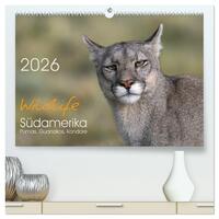 Wildlife Südamerika (hochwertiger Premium Wandkalender 2026 DIN A2 quer), Kunstdruck in Hochglanz