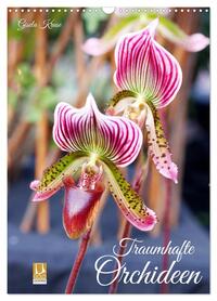 Traumhafte Orchideen (Wandkalender 2026 DIN A3 hoch), CALVENDO Monatskalender