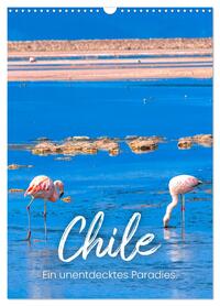 Chile - Ein unentdecktes Paradies. (Wandkalender 2026 DIN A3 hoch), CALVENDO Monatskalender