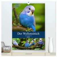 Der Wellensittich - Mein Lieblingsvogel (hochwertiger Premium Wandkalender 2026 DIN A2 hoch), Kunstdruck in Hochglanz