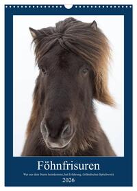 Föhnfrisuren (Wandkalender 2026 DIN A3 hoch), CALVENDO Monatskalender