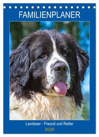 Familienplaner Landseer - Freund und Retter (Tischkalender 2026 DIN A5 hoch), CALVENDO Monatskalender