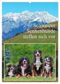 Schweizer Sennenhunde stellen sich vor (Wandkalender 2026 DIN A2 hoch), CALVENDO Monatskalender