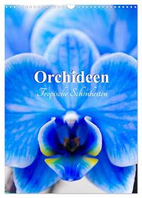 Orchideen - Tropische Schönheiten (Wandkalender 2026 DIN A3 hoch), CALVENDO Monatskalender