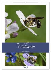 Wildbienen-Terminplaner 2026 (Wandkalender 2026 DIN A2 hoch), CALVENDO Monatskalender