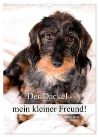 Der Dackel - mein kleiner Freund (Wandkalender 2026 DIN A3 hoch), CALVENDO Monatskalender