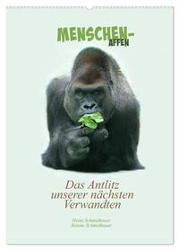 Menschenaffen - Das Antlitz unserer nächsten Verwandten (Wandkalender 2026 DIN A2 hoch), CALVENDO Monatskalender