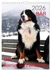 BÄR - Der Berner Sennenhund (Wandkalender 2026 DIN A4 hoch), CALVENDO Monatskalender