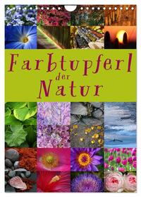 Farbtupferl der Natur (Wandkalender 2026 DIN A4 hoch), CALVENDO Monatskalender