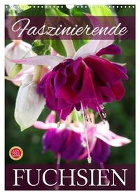 Faszinierende Fuchsien (Wandkalender 2026 DIN A3 hoch), CALVENDO Monatskalender