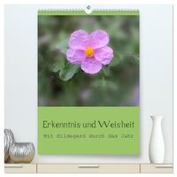 Erkenntnis und Weisheit - Hildegard von Bingen (hochwertiger Premium Wandkalender 2026 DIN A2 hoch), Kunstdruck in Hochglanz