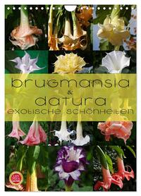 Brugmansia & Datura - Exotische Schönheiten (Wandkalender 2026 DIN A4 hoch), CALVENDO Monatskalender