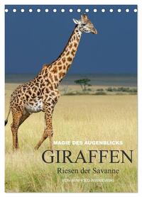 Magie des Augenblicks - Giraffen - Riesen der Savanne (Tischkalender 2026 DIN A5 hoch), CALVENDO Monatskalender
