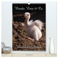 Nandu, Emu & Co. (hochwertiger Premium Wandkalender 2026 DIN A2 hoch), Kunstdruck in Hochglanz
