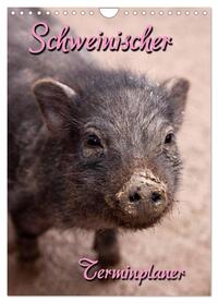 Schweinischer Terminplaner (Wandkalender 2026 DIN A4 hoch), CALVENDO Monatskalender