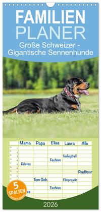 Familienplaner 2026 - Große Schweizer - Gigantische Sennenhunde mit 5 Spalten (Wandkalender, 21 x 45 cm) CALVENDO