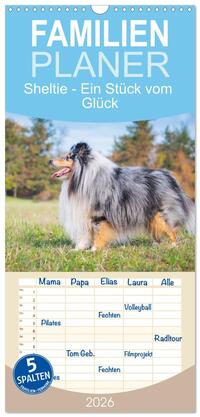 Familienplaner 2026 - Sheltie - Ein Stück vom Glück mit 5 Spalten (Wandkalender, 21 x 45 cm) CALVENDO