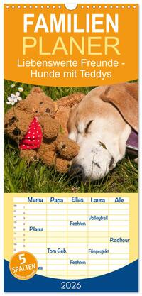 Familienplaner 2026 - Liebenswerte Freunde - Hunde mit Teddys mit 5 Spalten (Wandkalender, 21 x 45 cm) CALVENDO