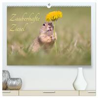 Zauberhafte Ziesel (hochwertiger Premium Wandkalender 2026 DIN A2 quer), Kunstdruck in Hochglanz