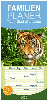 Familienplaner 2026 - Tiger: Gestreifte Jäger mit 5 Spalten (Wandkalender, 21 x 45 cm) CALVENDO