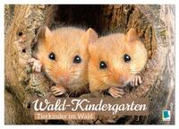 Wald-Kindergarten: Tierkinder im Wald (Wandkalender 2026 DIN A4 quer), CALVENDO Monatskalender